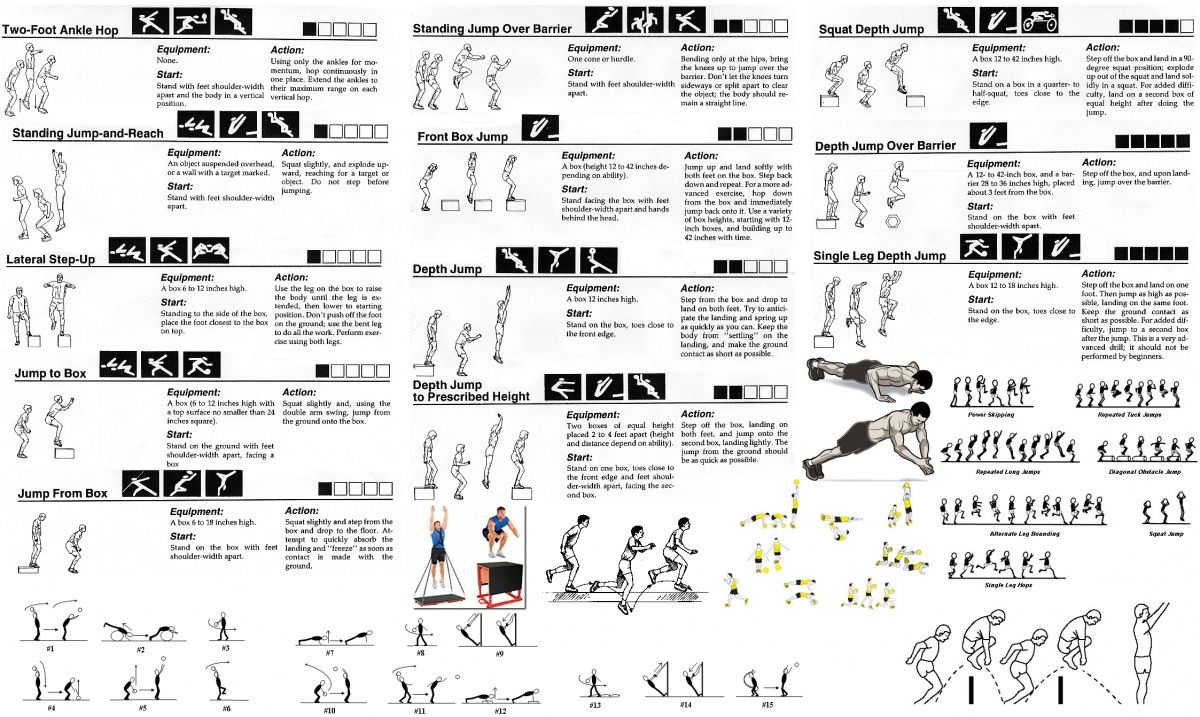 Exercicios de calistenia pdf online